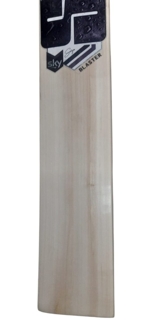 Kashmir Willow Cricket Bat Grade 1-Stickerd Bat - Image 4